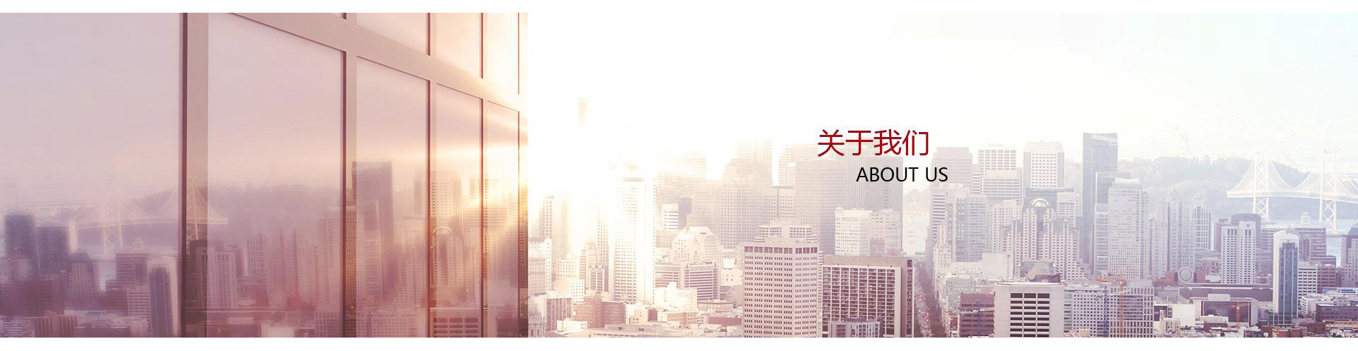 榮譽(yù)資質(zhì)